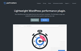 Perfmatters  – Lightweight Performance Plugin